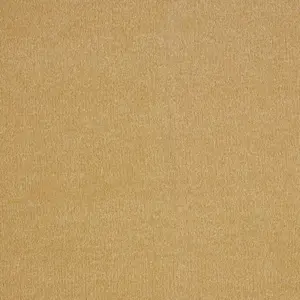 Associated Weavers Sentiment, Sensualite 54 5-Meter Breit Teppichboden FSENTTA54500P